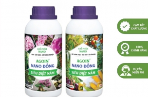 Nano Đồng AGOIN